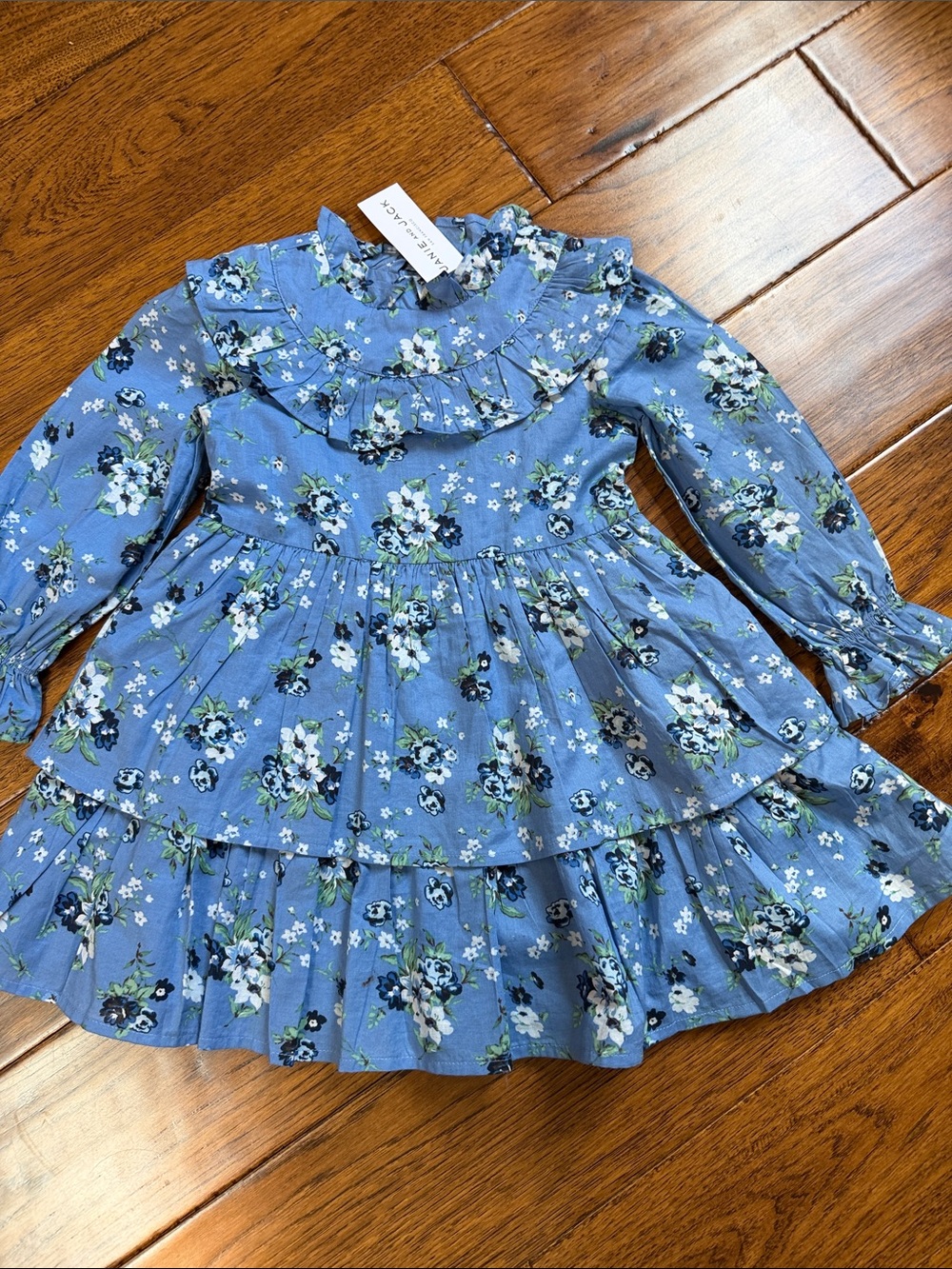 Janie and Jack Blue Floral Ruffle Tiered Long-Sleeve Dress